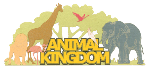 Animal Kingdom 