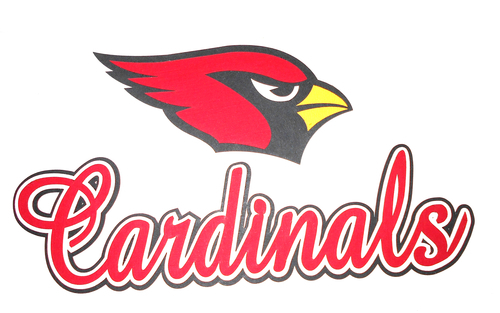 Cardinal with Bird | Arizona Teams  not public