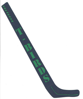 T-Bird Hockey Stick | NW Hockey   Not Public